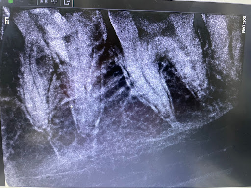 Photo from customer review